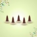 Bodysoul Jasmine Premium Dhoop Cones 